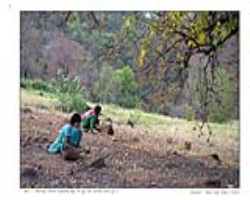 Kammara Tribe Culture in India