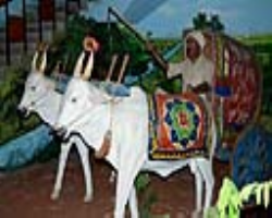 Naikpod Tribe Cultural in India