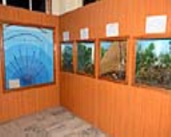 Naikpod Tribe Cultural in India