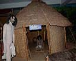 Naikpod Tribe Cultural in India