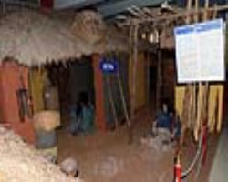 Kapu Tribe Culture of India