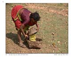 Parangi Tribe Culture in India