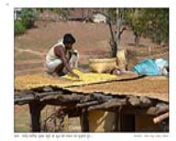 Kalbelia Tribe Culture in India