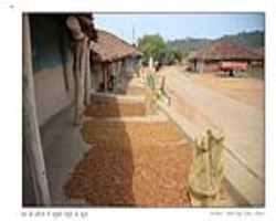Kalbelia Tribe Culture in India