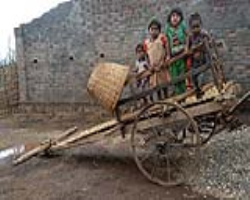 Indian Tribal Art Techniques and Contemporary Fusion