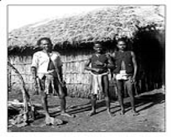 The Immunity of Indian Tribes