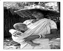 The Immunity of Indian Tribes