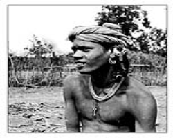 The Immunity of Indian Tribes