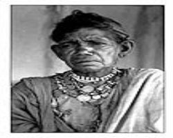 The Immunity of Indian Tribes