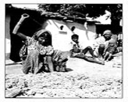 Culture and Life of the Dubla (Halpati) Tribe in India