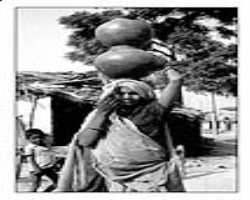 Culture and Life of the Dubla (Halpati) Tribe in India