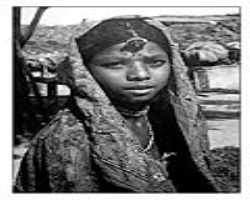 Culture and Life of the Dubla (Halpati) Tribe in India
