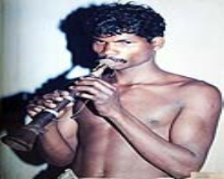 Culture and Life of the Dubla (Halpati) Tribe in India