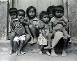 Culture and Life of the Dubla (Halpati) Tribe in India