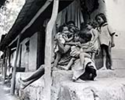 Culture and Life of the Dubla (Halpati) Tribe in India