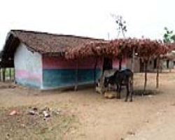 Konda Reddi Tribe Culture in India