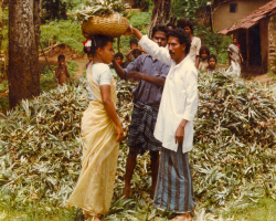 Holva Tribe in India