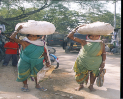 Holva Tribe in India