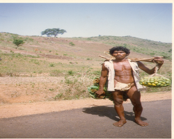 Holva Tribe in India