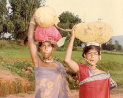 Holva Tribe in India