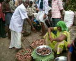 Bentho Oriya Tribe in India