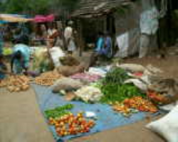 Bentho Oriya Tribe in India