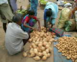 Bentho Oriya Tribe in India