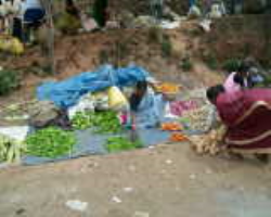 Bentho Oriya Tribe in India