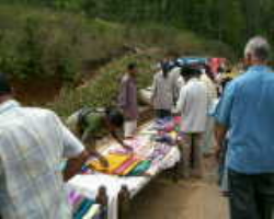 Kuvi Tribe