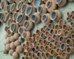 Kuvi Tribe