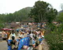 Kuttiya Kondh Tribe