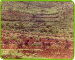 Tikiria Kondhs