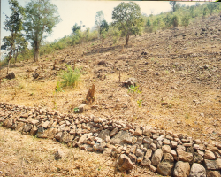 Tikiria Kondhs