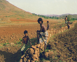 Kuttiya Kondh Tribe