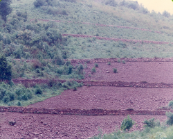 Dongria Kondh Tribe