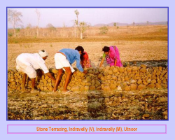 Dongria Kondh Tribe