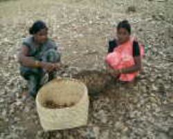 Dongria Kondh Tribe