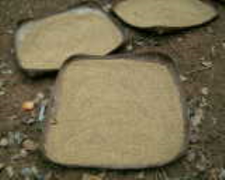 Dongria Kondh Tribe