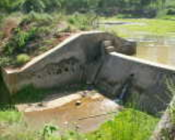 Dongria Kondh Tribe