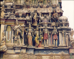 Mali Tribe Culture in India