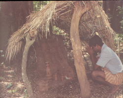 Mali Tribe Culture in India