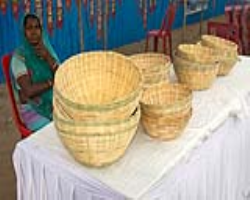 Halba Tribe of India