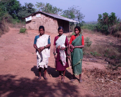 Nagarchi Tribe