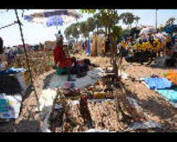 Valmiki Tribe of India