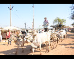 Valmiki Tribe of India