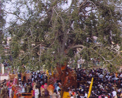 Valmiki Tribe of India