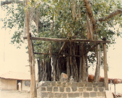 The Nakkala Tribe of India