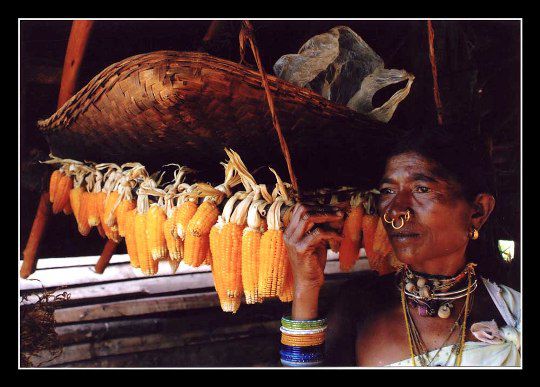 Arakh Tribe