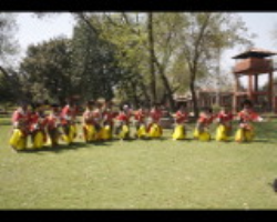Lakher Tribe