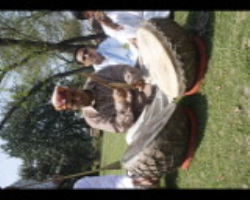 Lakher Tribe